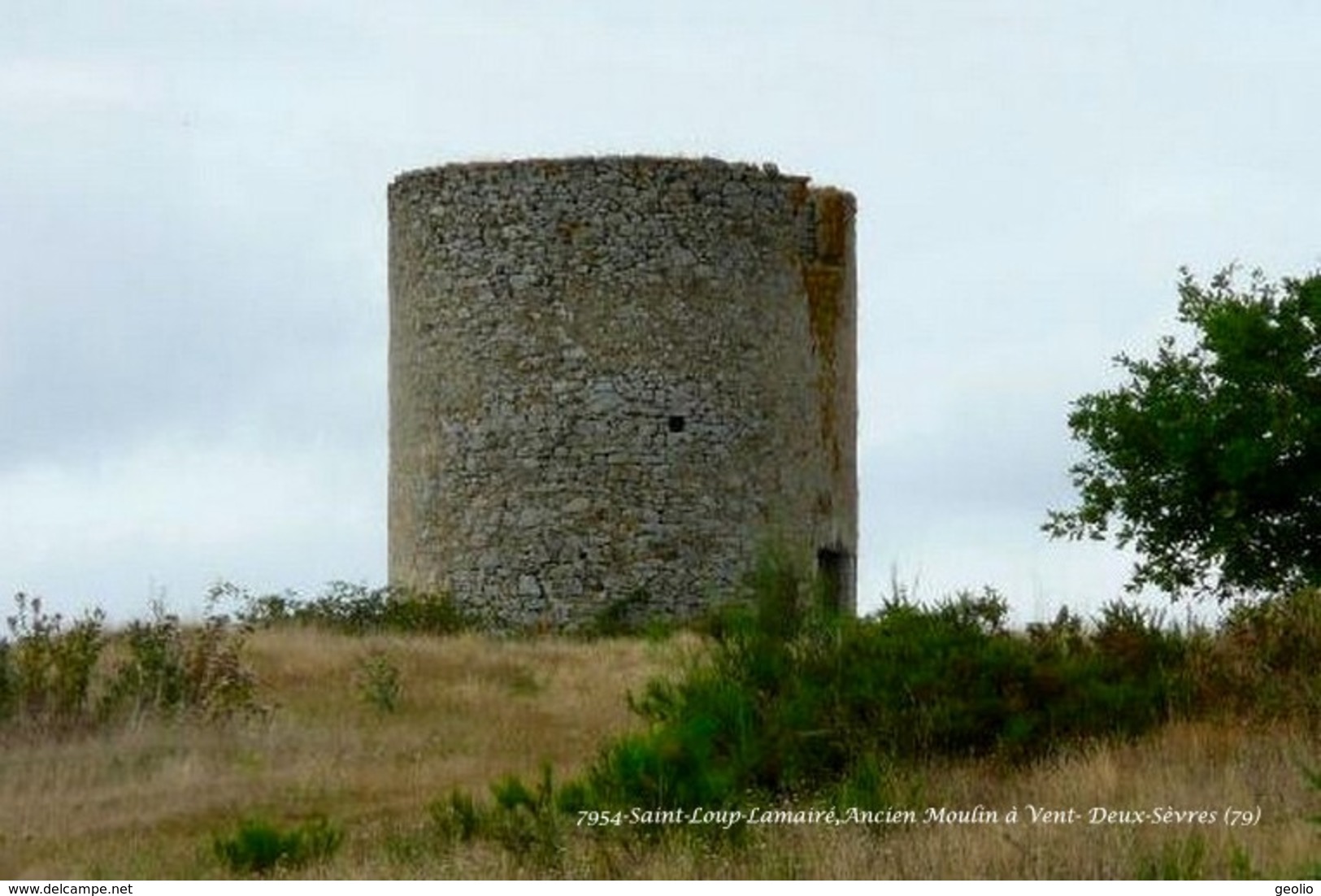 Saint-Loup-Lamairé (79)- Ancien Moulin à Vent (Edition à Tirage Limité) - Saint Loup Lamaire