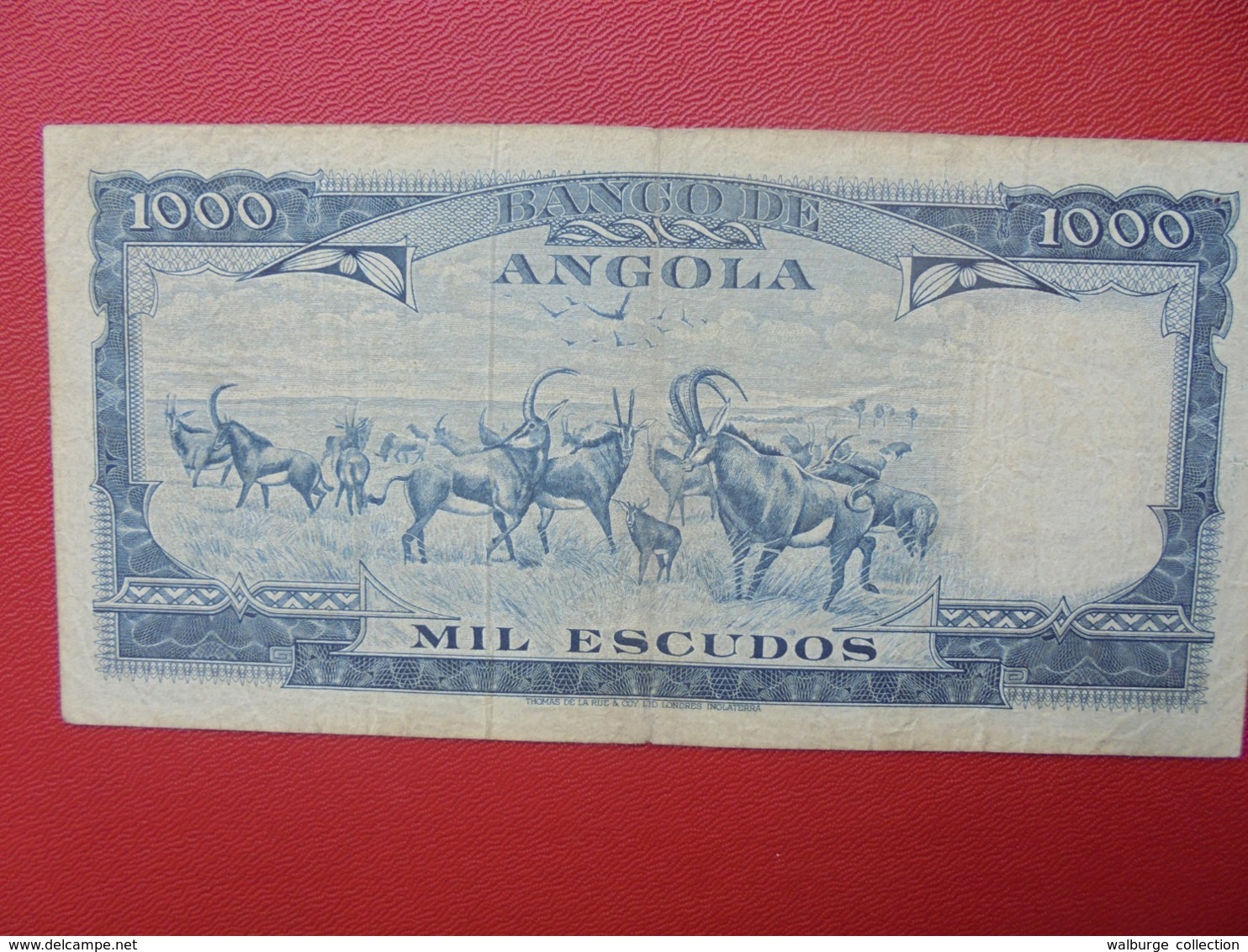 ANGOLA (PORTUGUAIS) 1000 ESCUDOS 1970 CIRCULER (B.3) - Angola