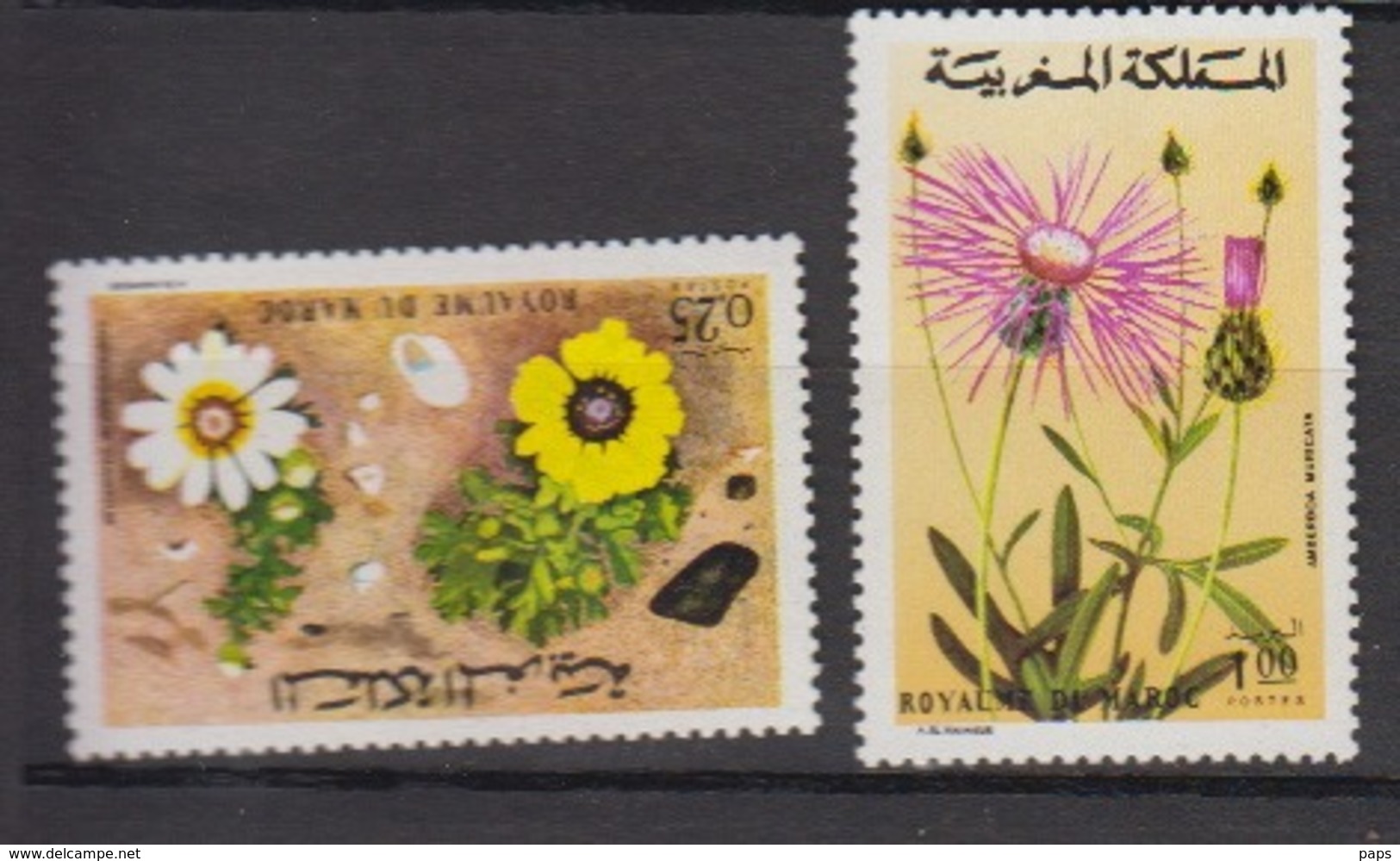 MAROC-1973-N°687/688** FLORE - Maroc (1956-...)