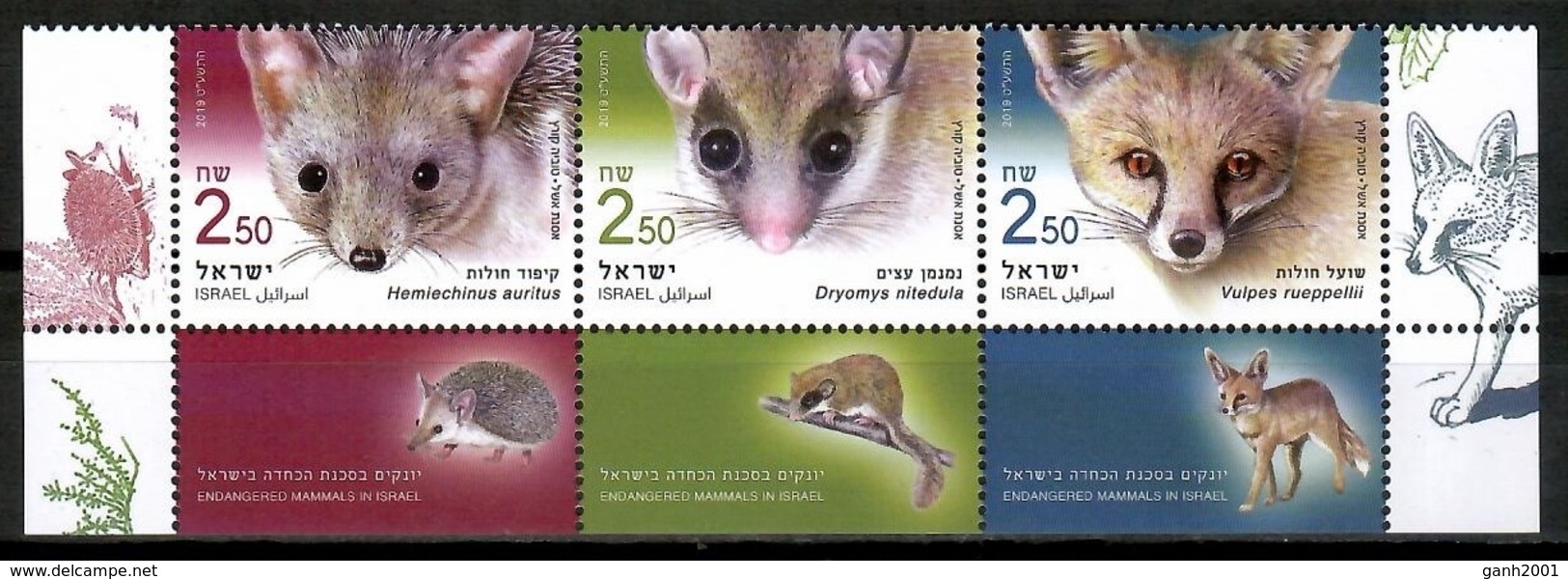 Israel 2019 / Animals Mammals MNH Fauna Mamíferos Säugetiere / Cu14321  4-17 - Otros & Sin Clasificación