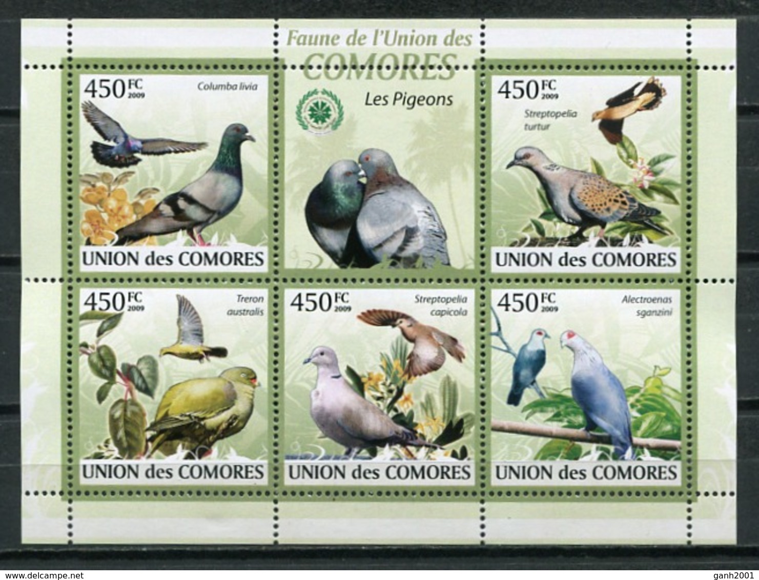 Comoros Islands 2009 Comores / Birds MNH Vögel Aves Oiseaux / Cu6816  36-62 - Otros & Sin Clasificación