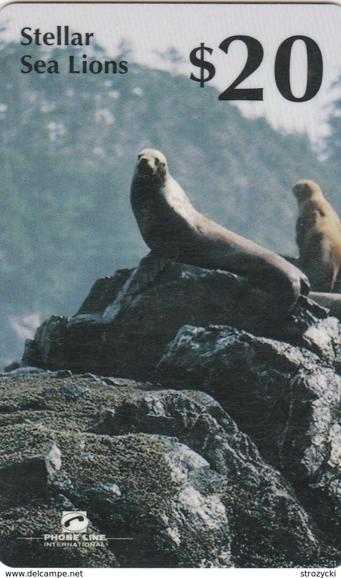 Canada - PTI - Stellar Sea Lions - Canada