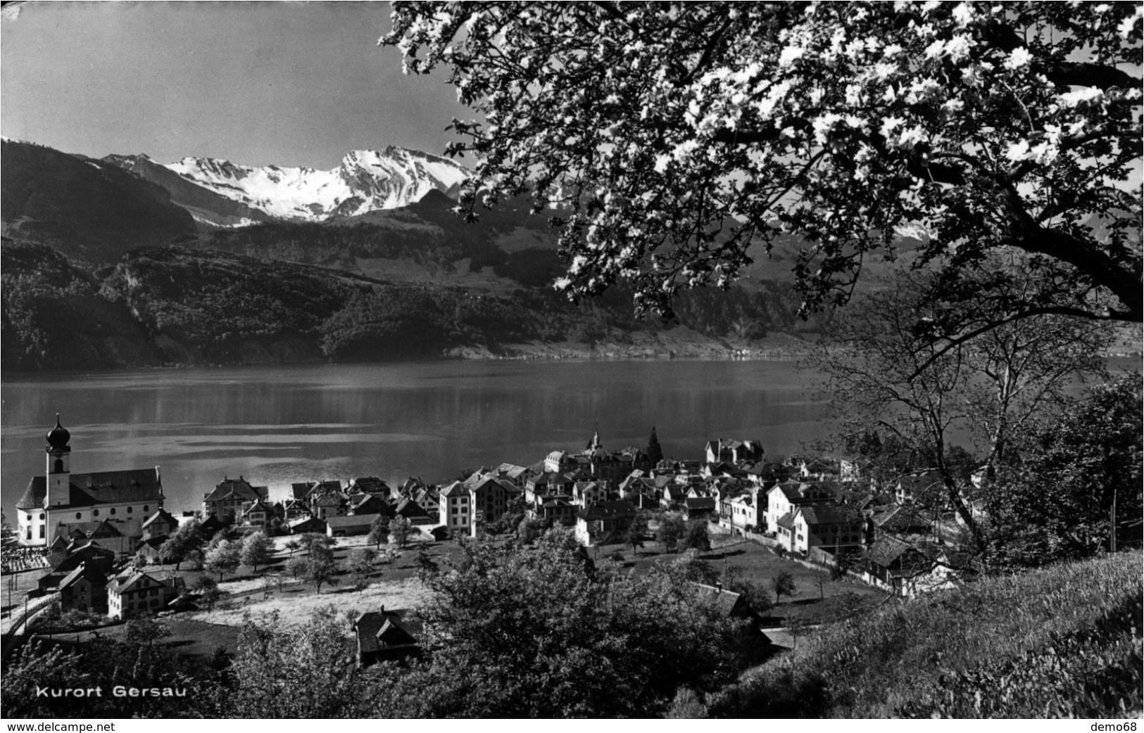 Gersau   Suisse Schweiz Svizzera Vue Générale  Belle Photo - Gersau