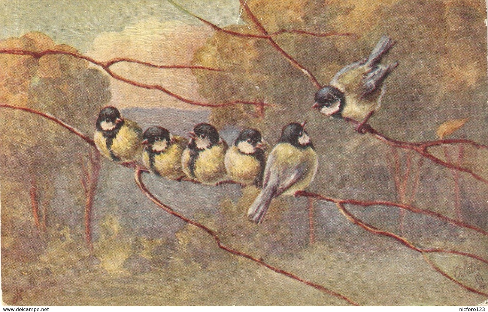 "Birds. Tom Tits And Chaffinches" Tuck Oilette Birds And Blossoms Ser. PC # 9967 - Tuck, Raphael