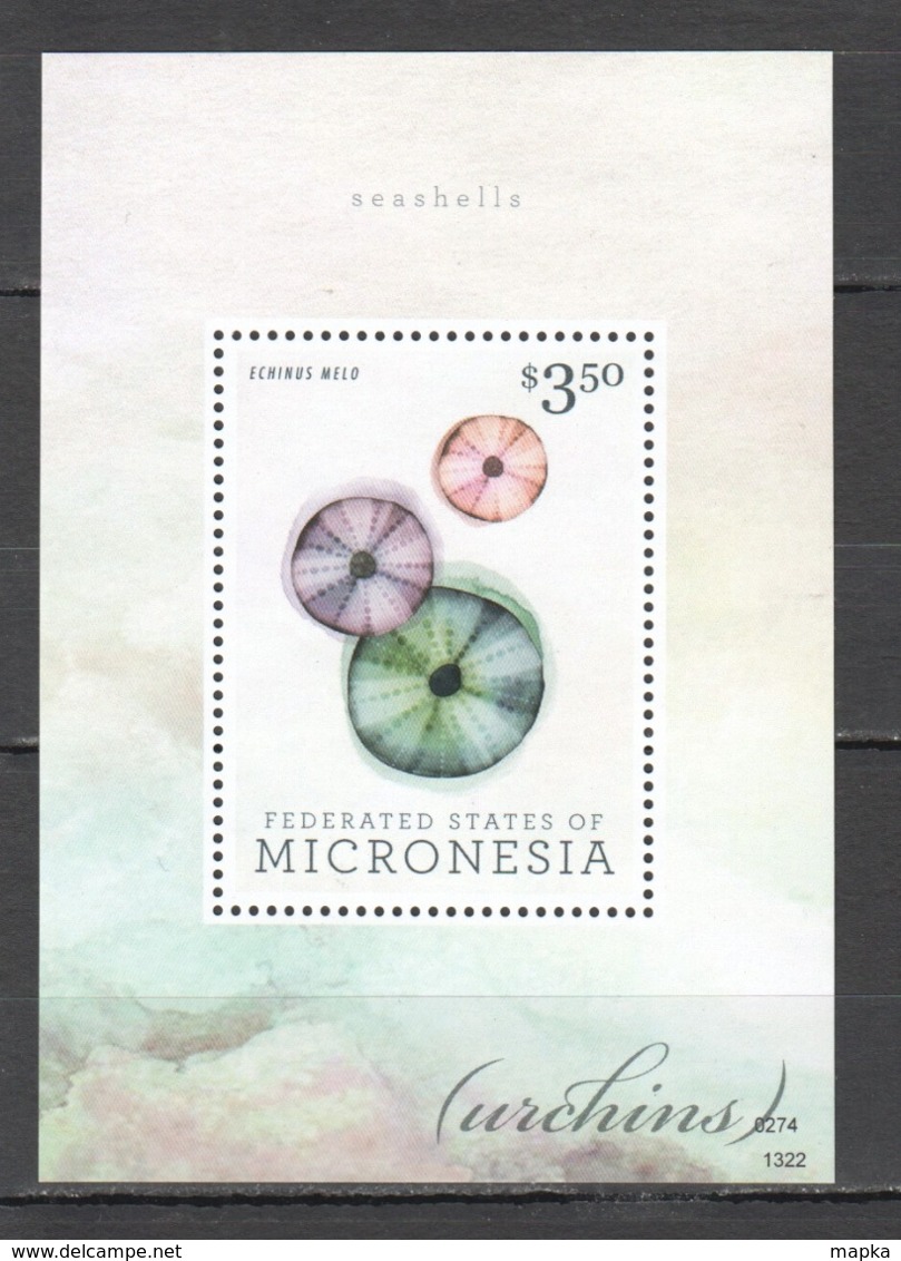 M1025 2013 MICRONESIA SEASHELLS 1BL MNH - Coneshells