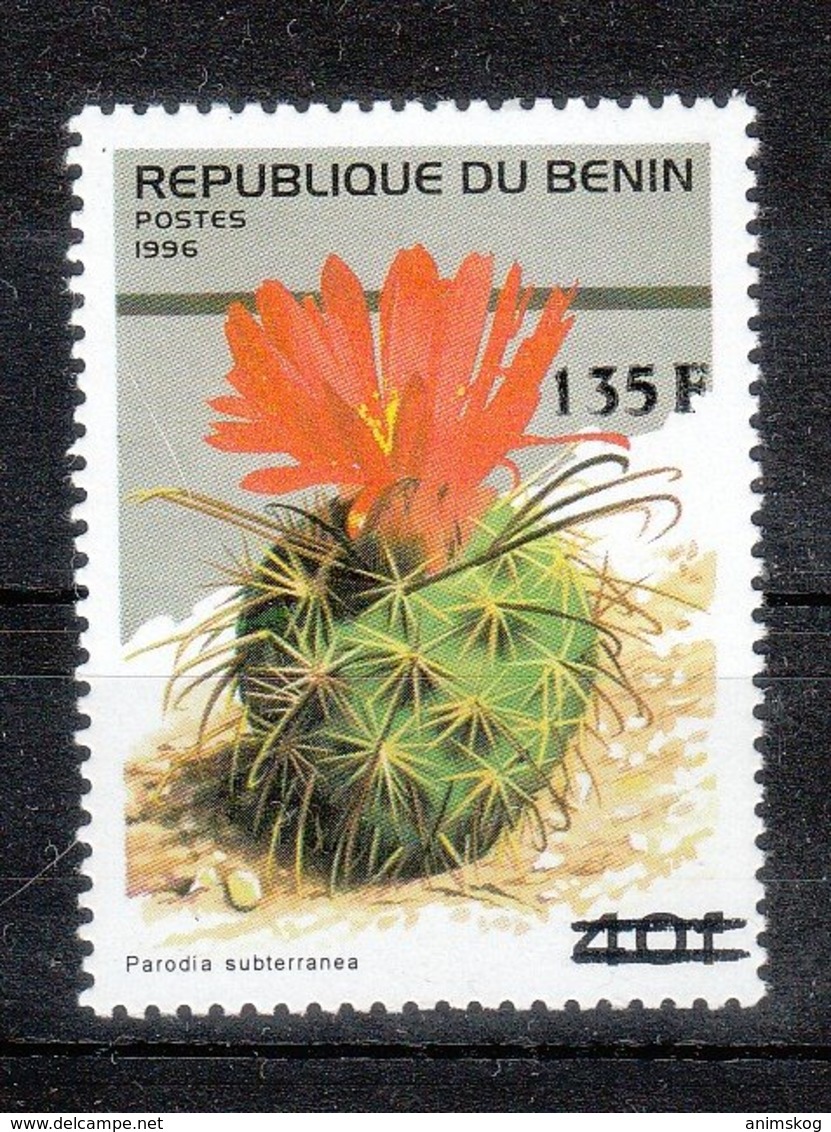 Benin 2000**, Freimarken Mit Überdruck, Kaktus Parodia / Benin 2000, MNH, Definitives With Overprint, Cactus Parodia - Sukkulenten