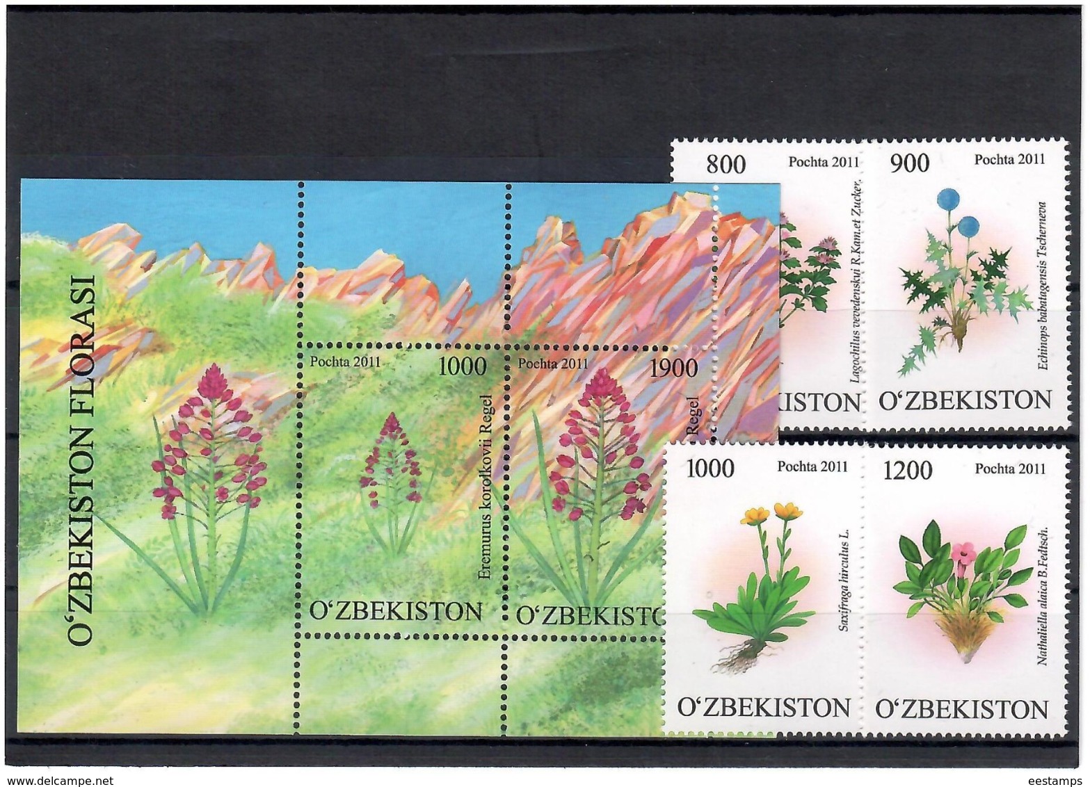 Uzbekistan 2011.Flowers . 4v+S/S; 800,900,1000,1200+1000/1900.   Michel # 923-26 + BL 59 - Uzbekistán