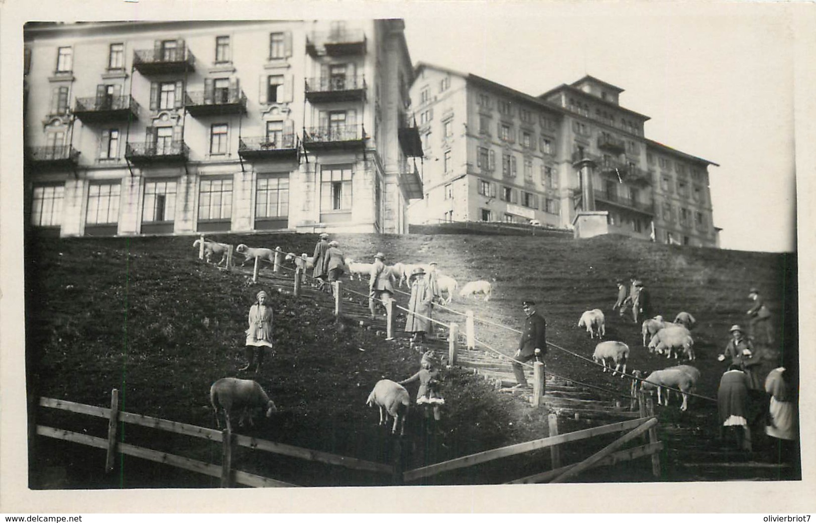 Suisse - Carte-Photo - Lucerne - Rigi Kulm - Hôtel Sur Les Hauteurs - Luzern