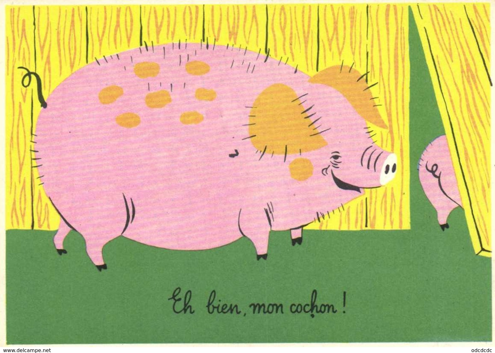 Illustrateur Eh Bien Mon Cochon ! RV - Humour