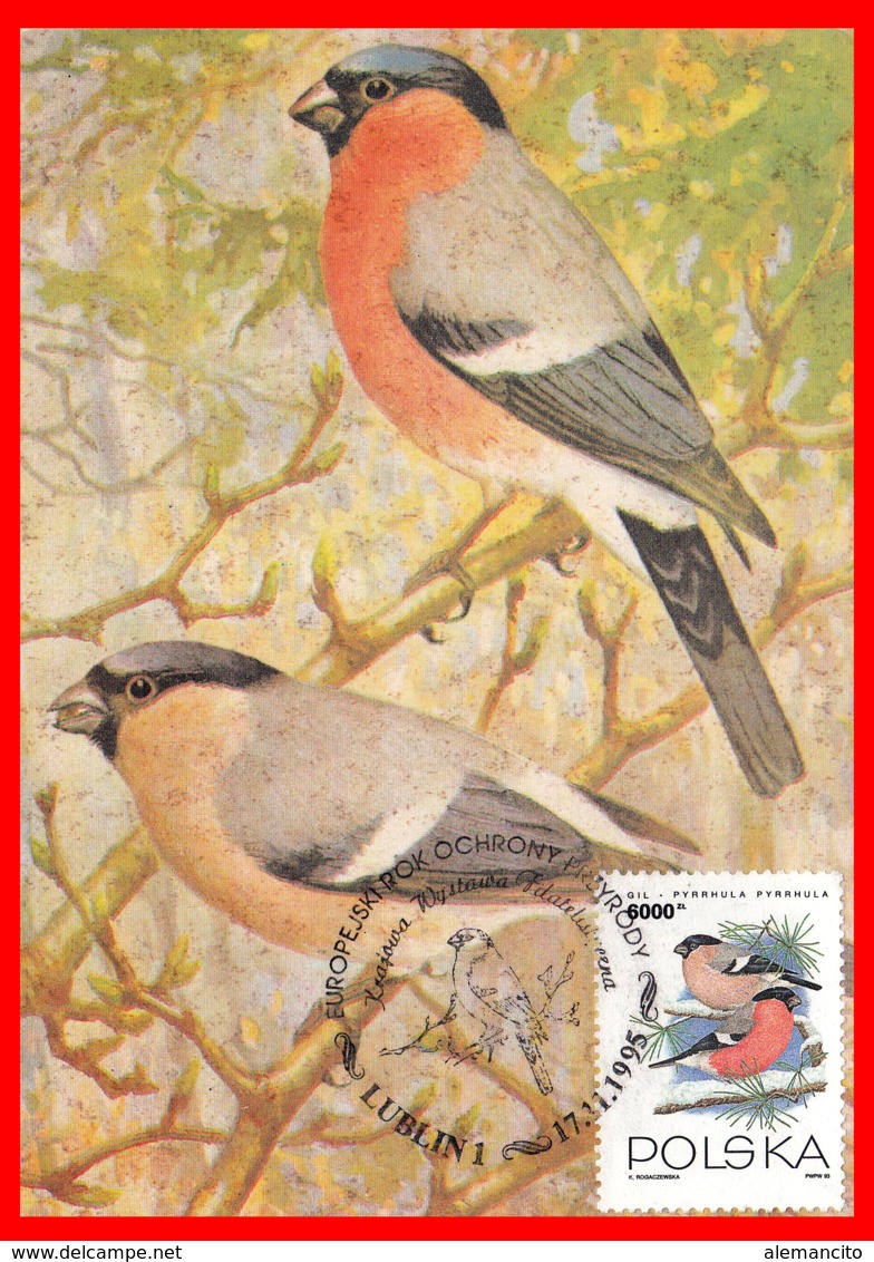 POLONIA ENTERO POSTAL  1995 TEMATICA FAUNA - Entiers Postaux