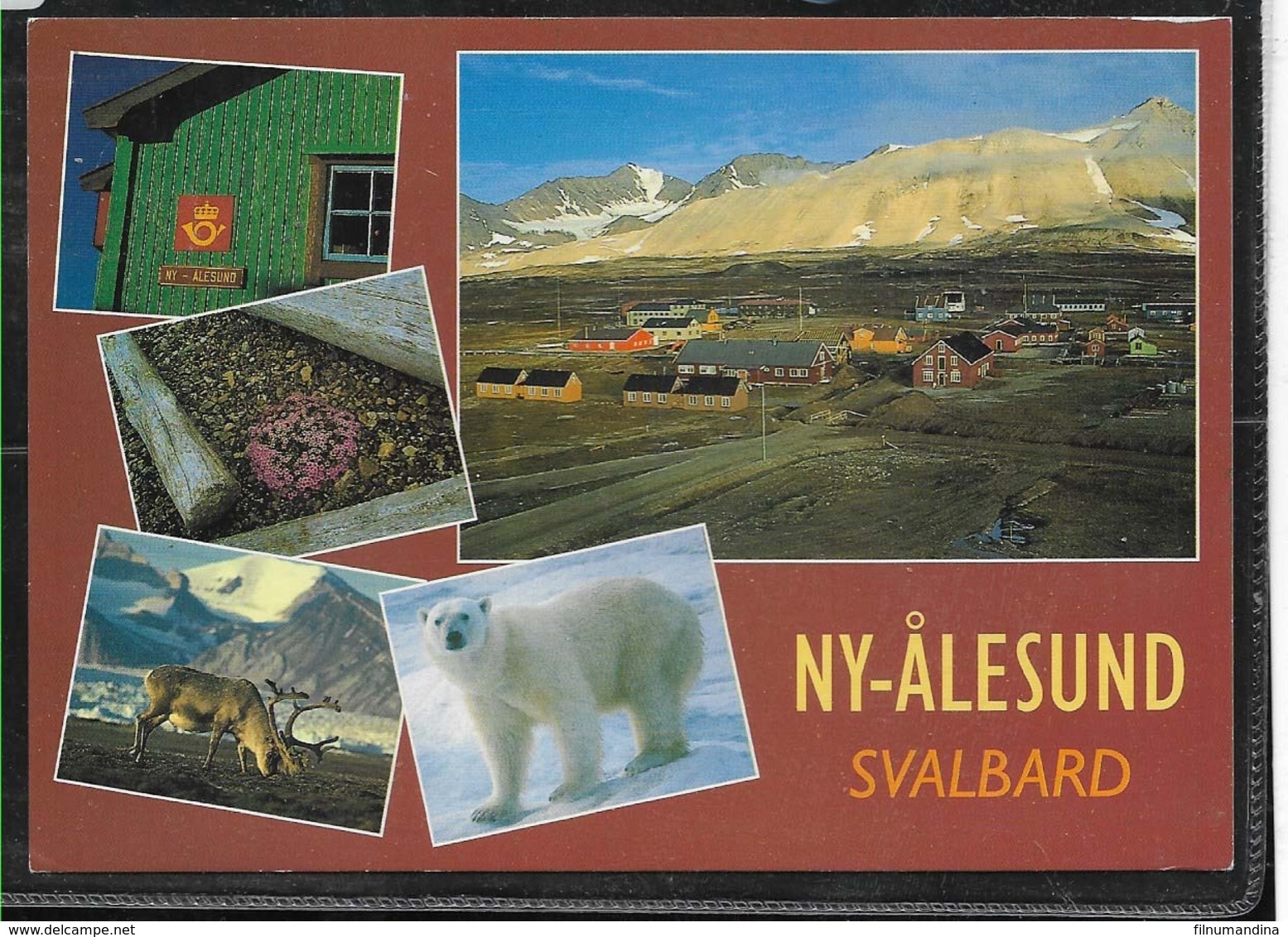 AANT-275 POLAR 1987 NY-ALESUND NORWAY  CRUCER SVALBARDREIN CARD - Vuelos Polares
