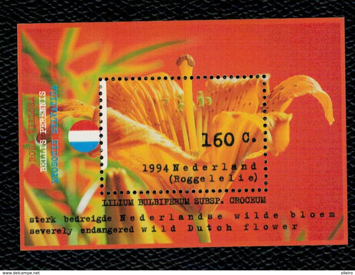 Olanda Pays-Bas Nederland Netherlands 1994 Nature And Enviroment - Wild Flowers Souvenir Sheet 1v ** MNH - Nuovi