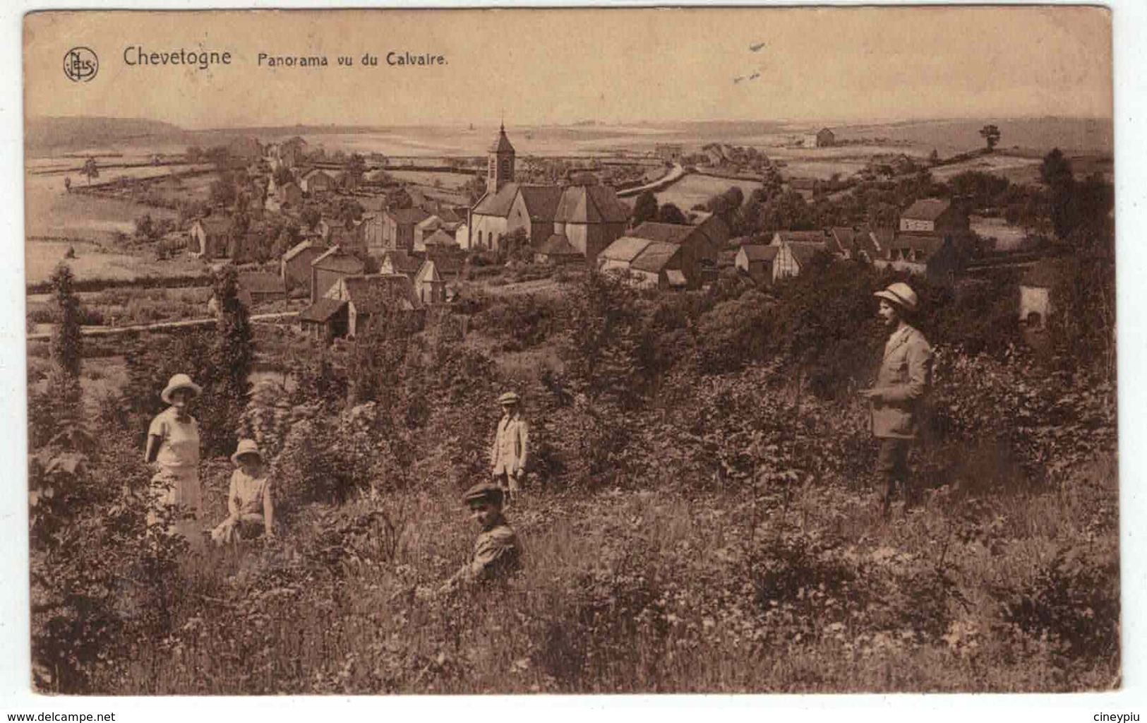 Ciney - Chevetogne - Panorama Vu Du Calvaire - Culot Jottard  - Nels - Ciney