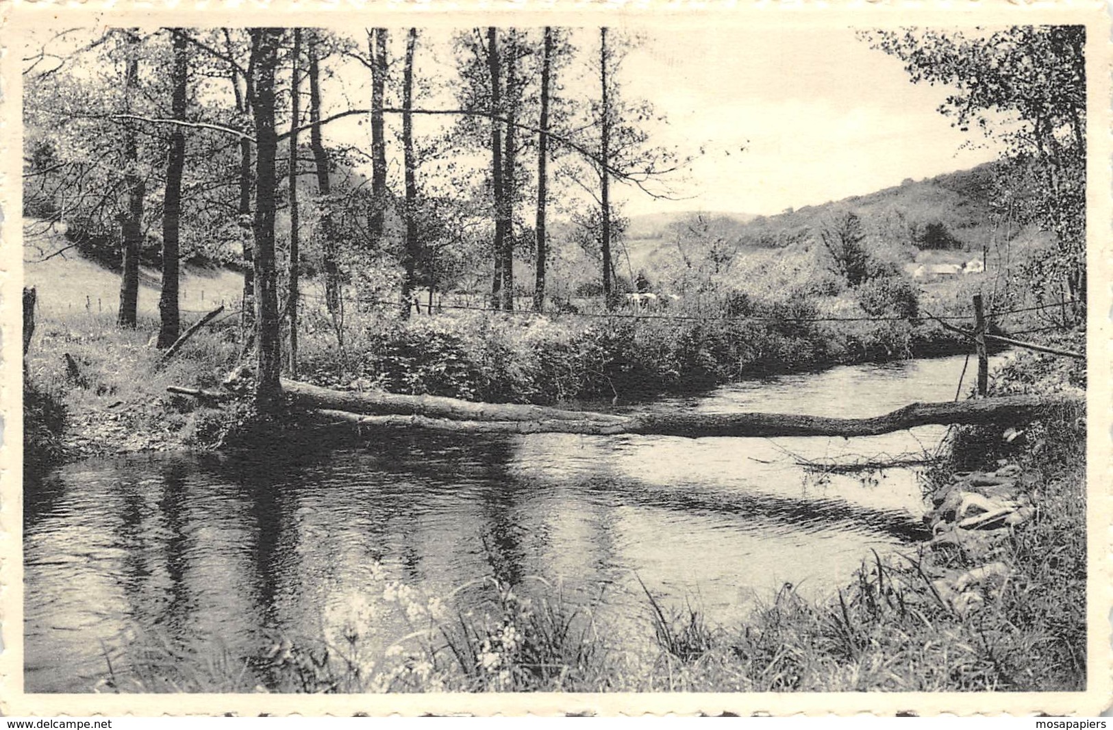 Erezée - Pont Rustique Sur L'Aisne - Ed. V. Garnir - Erezée