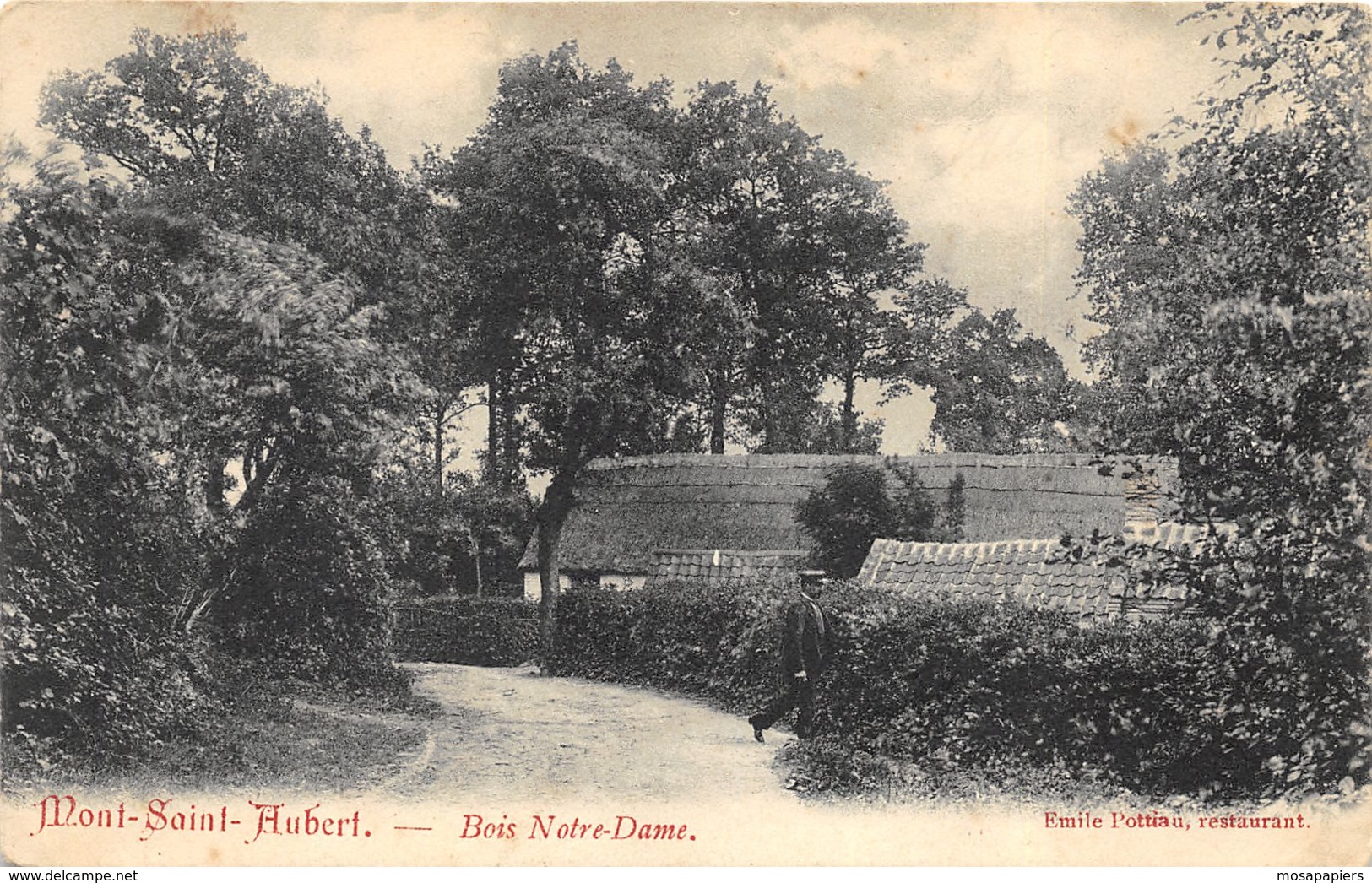 Mont-Saint-Aubert - Bois Notre-Dame - Tournai