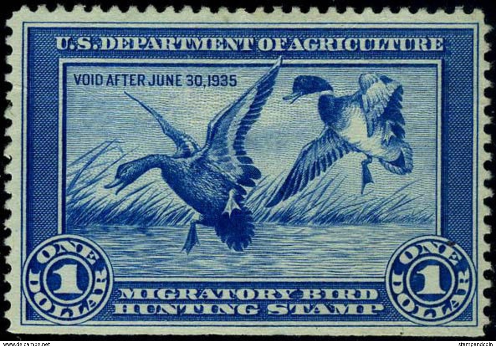 US RW1 VF Mint No Gum Duck Stamp From 1934 - Duck Stamps