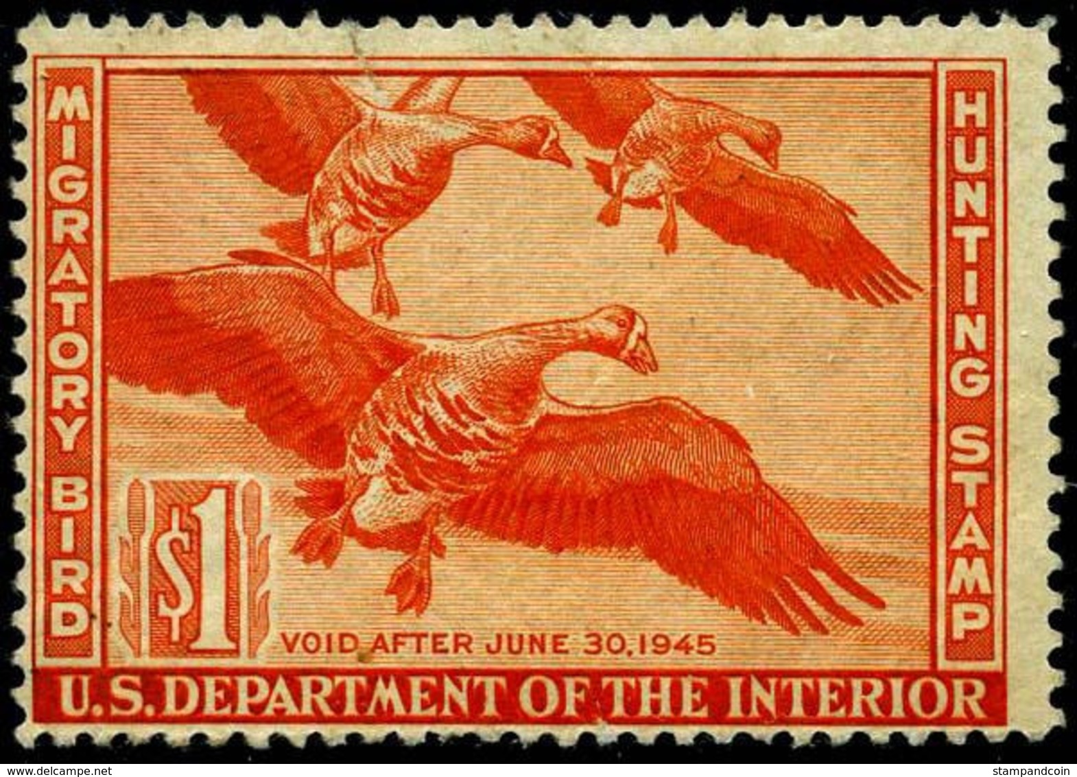 US RW11  Mint Never Hinged  (MNH) Stamp From 1944 - Duck Stamps