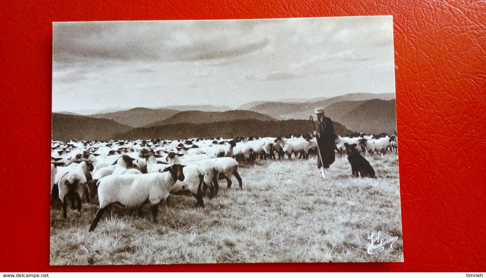 CPM. N°67. Joël COUCHOURON - LES Vosges - LE BERGER ET SON TROUPEAU DE MOUTONS TETE NOIRE - CHIEN - LES VIEUX METIERS - - Lorraine