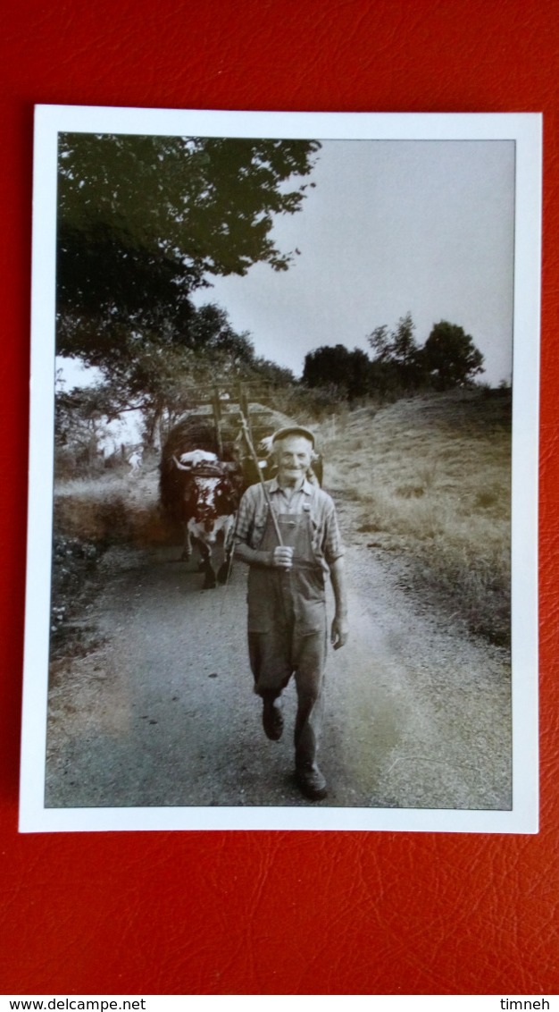 CPM. MARC PAYGNARD - LES Vosges - ATTELAGE BOEUF RACE VOSGIENNE - CHARIOT DE FOIN ET PAYSAN - Les Gens D'ici - Lorraine