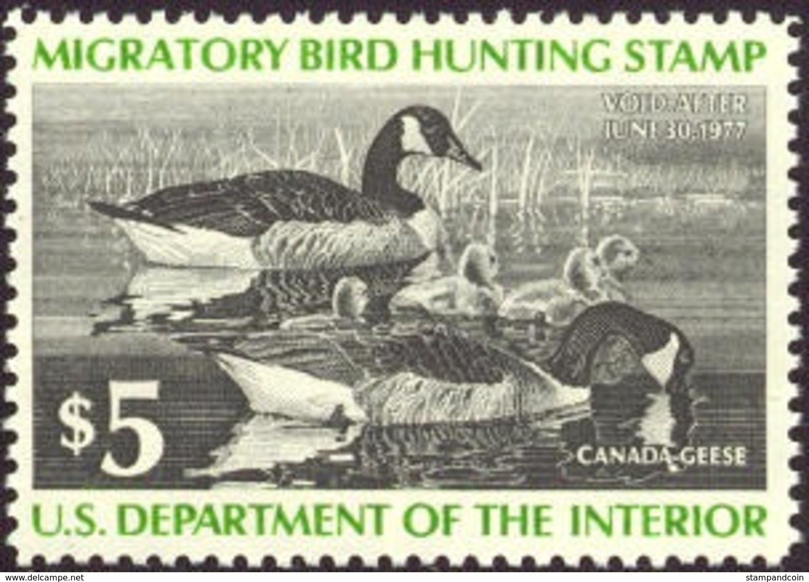 US RW43  VF  Mint NH   Stamp From 1976 - Duck Stamps