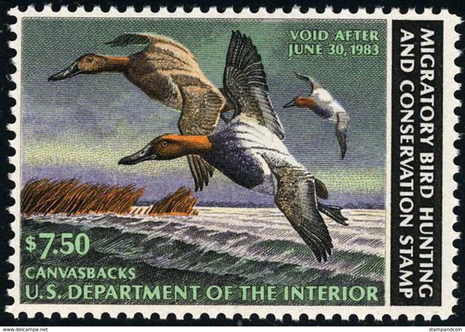 US RW49   Mint NH   Stamp From 1982 - Duck Stamps
