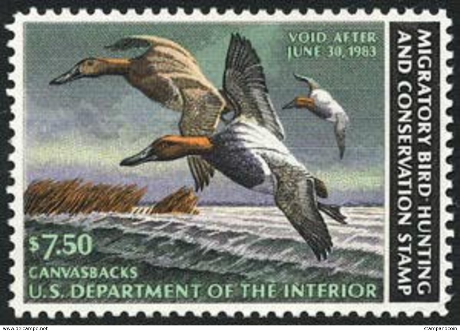 US RW49 XF  Mint NH   Stamp From 1982 - Duck Stamps