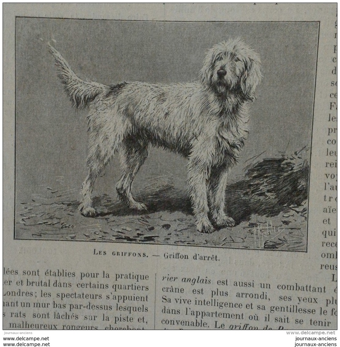 1898 INDUSTRIE DU MARBRE - FABRICATION DES BILLETS DE BANQUE - BRONZE DANS LES ATS PLASTIQUES - MOUVEMENT PHOTOGRAPHIQUE