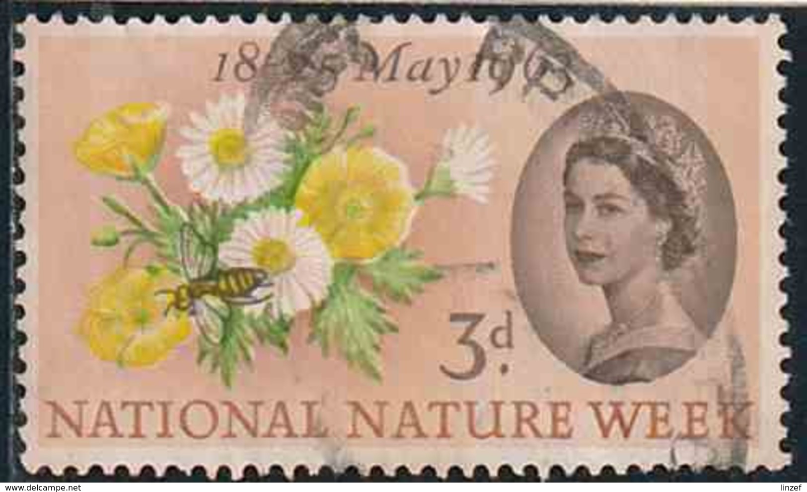 GB 1963 Yv. N°373A - Semaine De La Nature - 3p Boutons D'or Et Pâquerettes - 3 Bandes De Phosphore - Oblitéré - Oblitérés