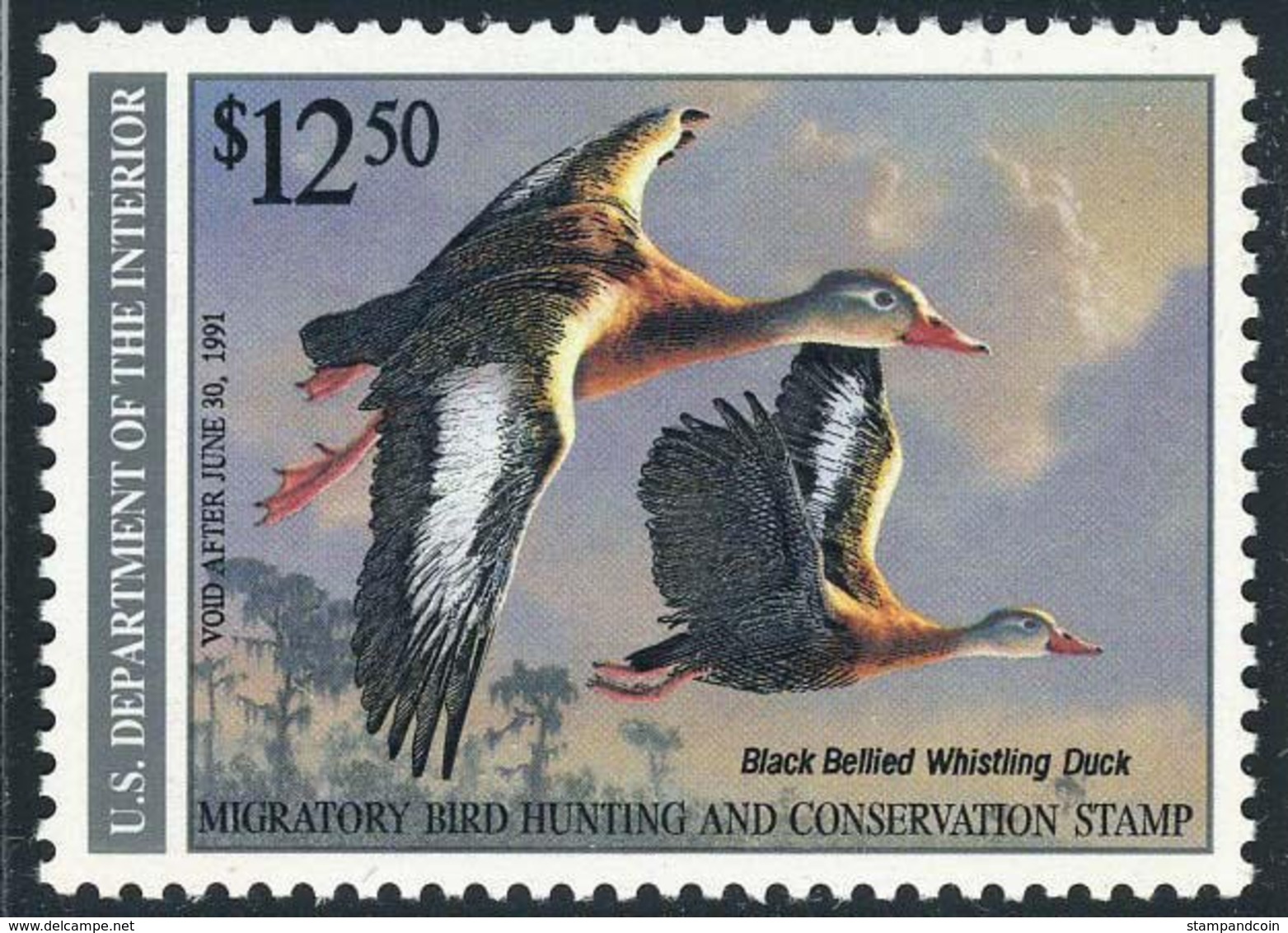 US RW57 XF  Mint NH   Stamp From 1990 - Duck Stamps