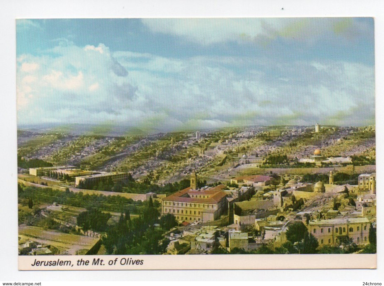 Israel: Jerusalem, Mount Of Olives, Mont Des Oliviers (19-1834) - Israel