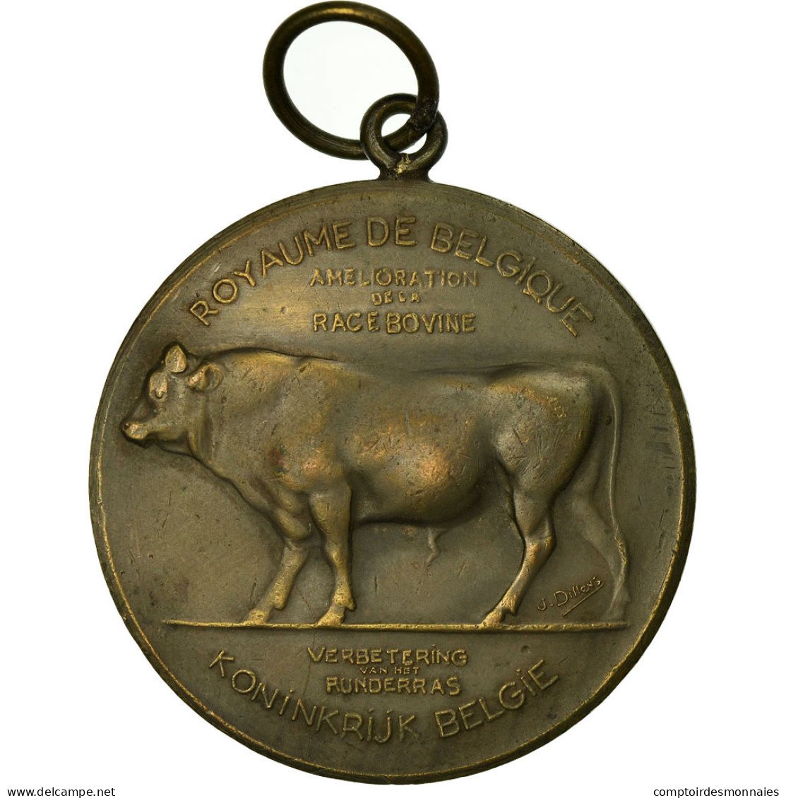 Belgique, Médaille, Agriculture, Amélioration De La Race Bovine, Namur - Autres & Non Classés