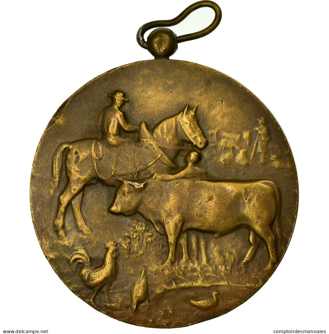Belgique, Médaille, Agriculture, Comice Agricole De Couvin, 1936, TTB+, Bronze - Autres & Non Classés