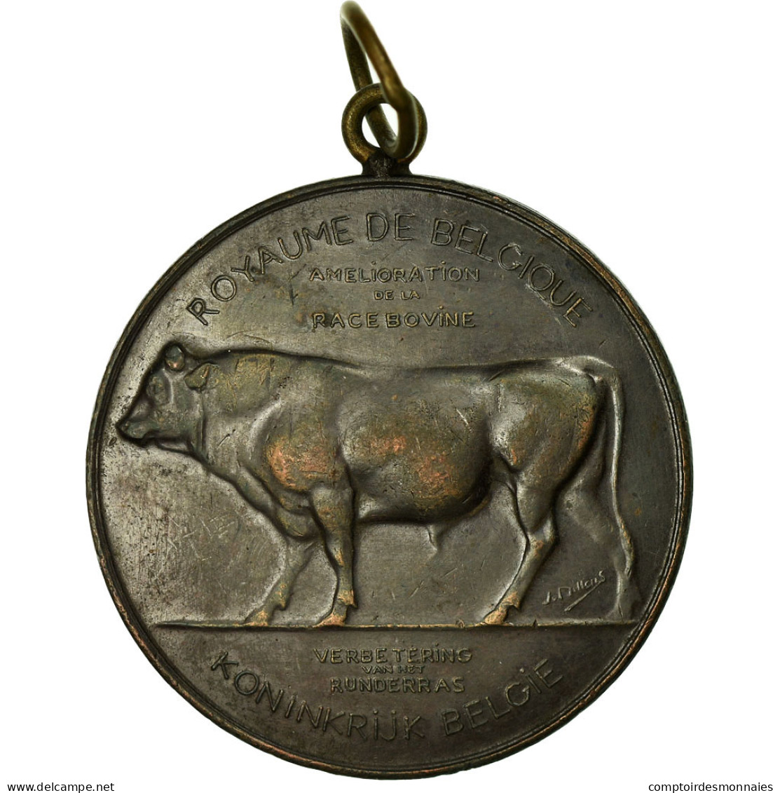 Belgique, Médaille, Agriculture, Amélioration De La Race Bovine, Namur - Autres & Non Classés