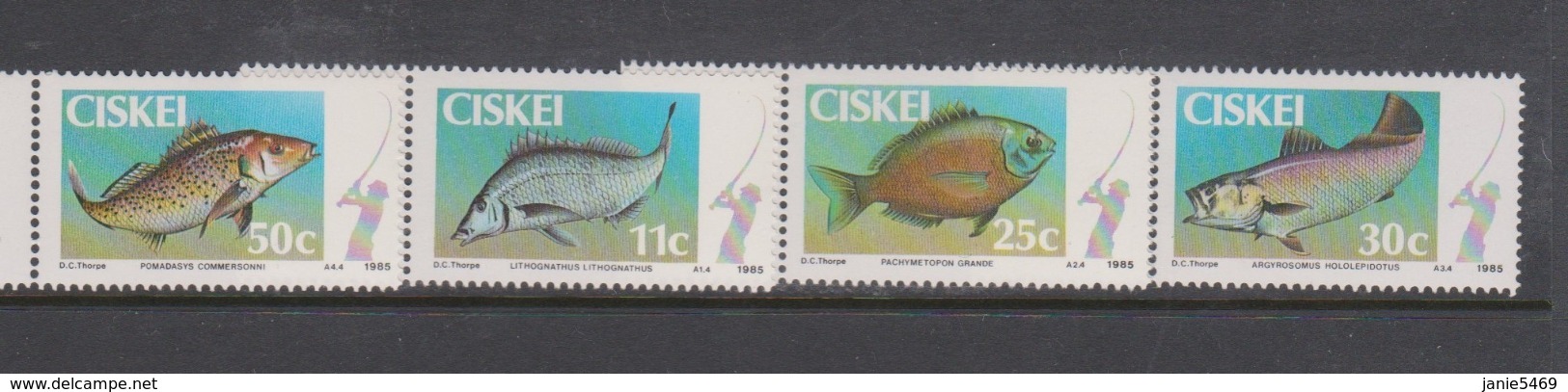 South Africa-Ciskei Scott 69-72 1985 Game Fish,Mint Never Hinged - Ciskei