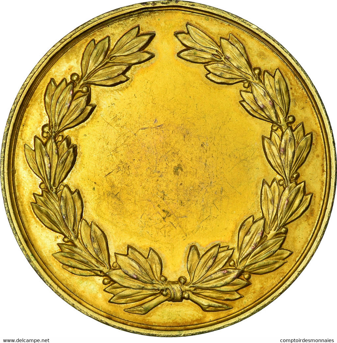 France, Médaille, Société Hippique, TTB+, Gilt Bronze - Autres & Non Classés