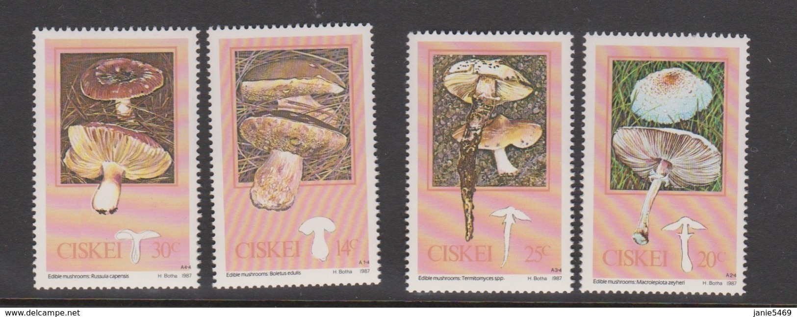 South Africa-Ciskei Scott 102-105 1987 Edible Mushrooms,Mint Never Hinged - Ciskei