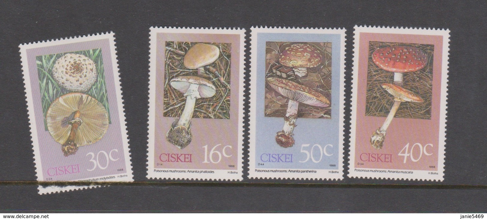 South Africa-Ciskei Scott 127-130 1988 Poisonous Mushrooms,mint Never Hinged - Ciskei