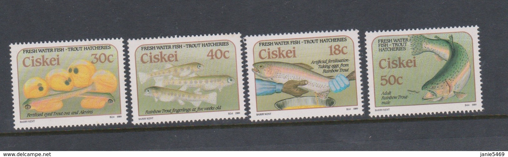 South Africa-Ciskei Scott 135-138 1989 Trout,Mint Never Hinged - Ciskei