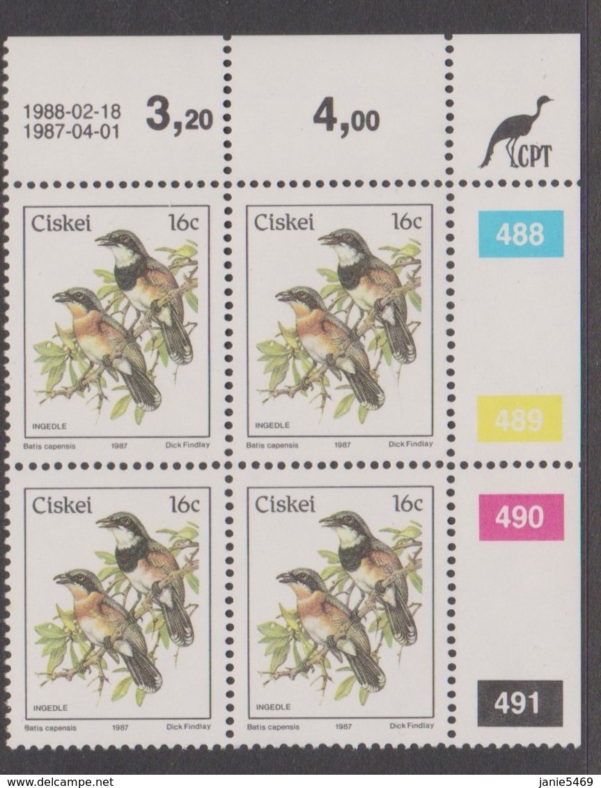 South Africa-Ciskei Scott R19 1981 Birds,16c Batis Capensis Dated 1988,Block 4,mint Never Hinged - Ciskei