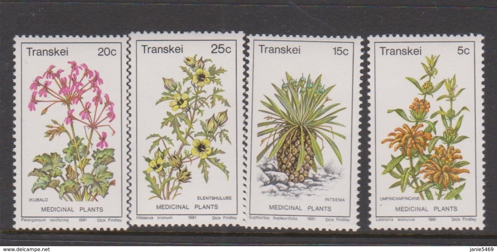 South Africa-Transkei SG 88-91 1981 Medicinal Plants,Mint Never Hinged - Transkei