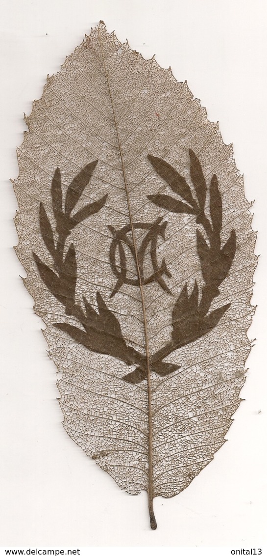 FEILLE D'ARBRE AJOUREE / ARTISANAT MILITAIRE / DENTELLE DE FEUILLE D'ARBRE / INITIALES M C E21 - 1914-18