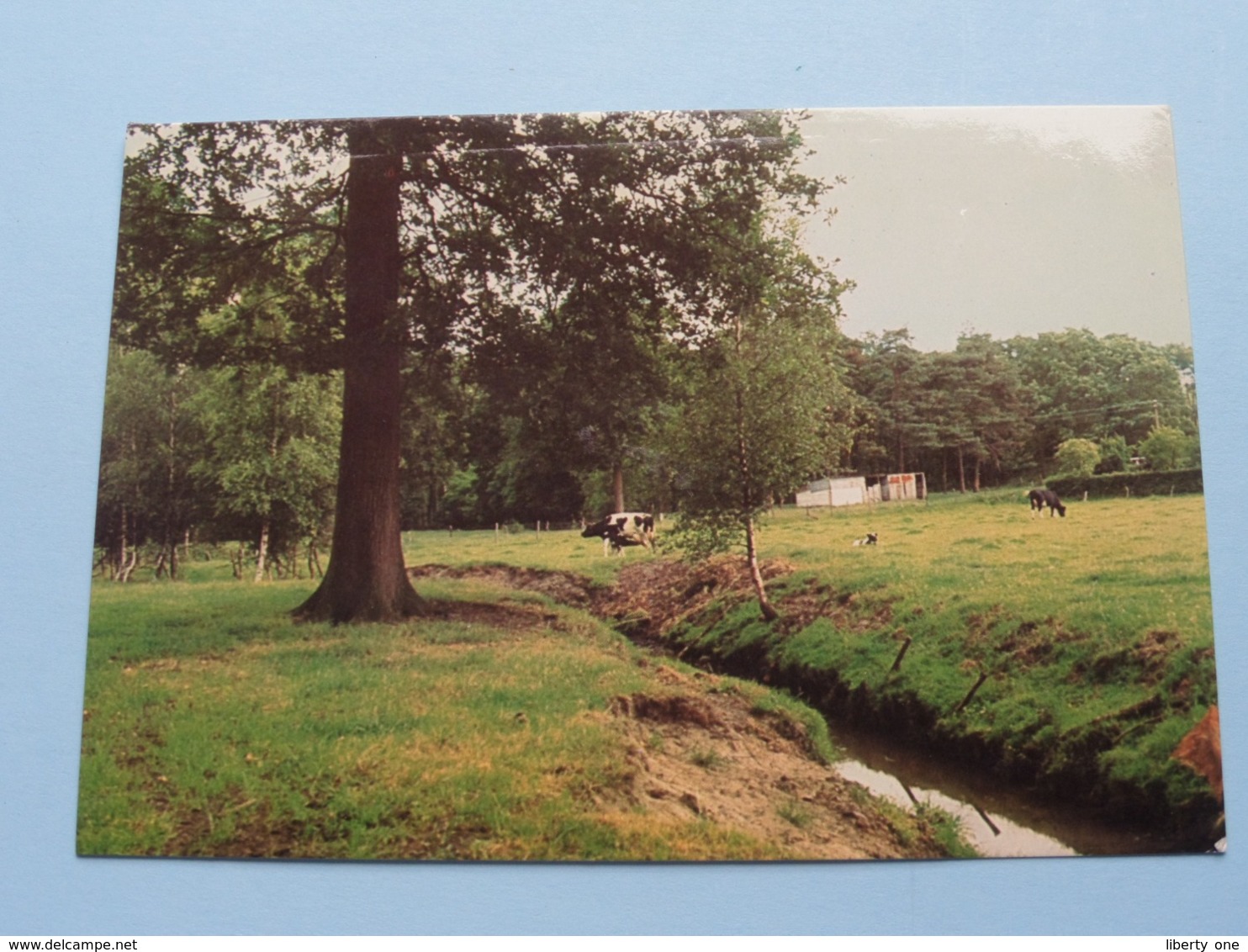 DROSSAARDPAD Omgeving Van De Hutten ( 14 ) Middenstand Meerhout : Anno 1993 ( See / Voir Photo ) ! - Meerhout