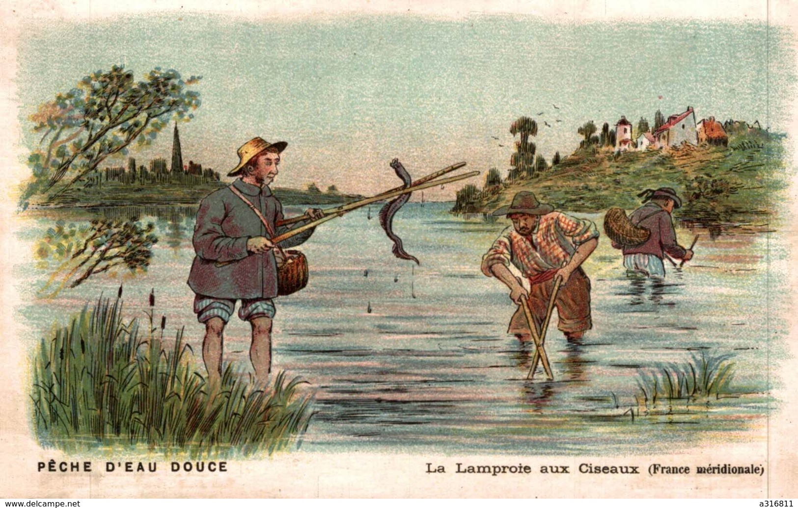 PECHE D'EAU DOUCE LA LAMPOIRE AUX CISEAUX (FRANCE MERIDIONALE) - Autres & Non Classés