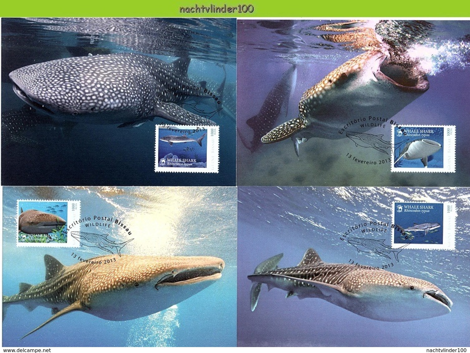 Nfd14mb FAUNA 'VISSEN FISH FISCHE' WALVISHAAI WHALE SHARK HAIE MARINE LIFE GUINÉ0BISSAU 2013 MAX - Vie Marine