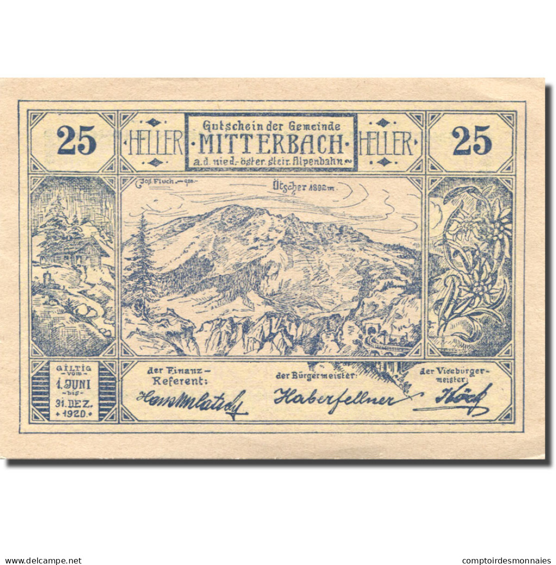 Billet, Autriche, Mitterbach, 25 Heller, Montagne, 1920, SPL Mehl:FS 618a - Autriche