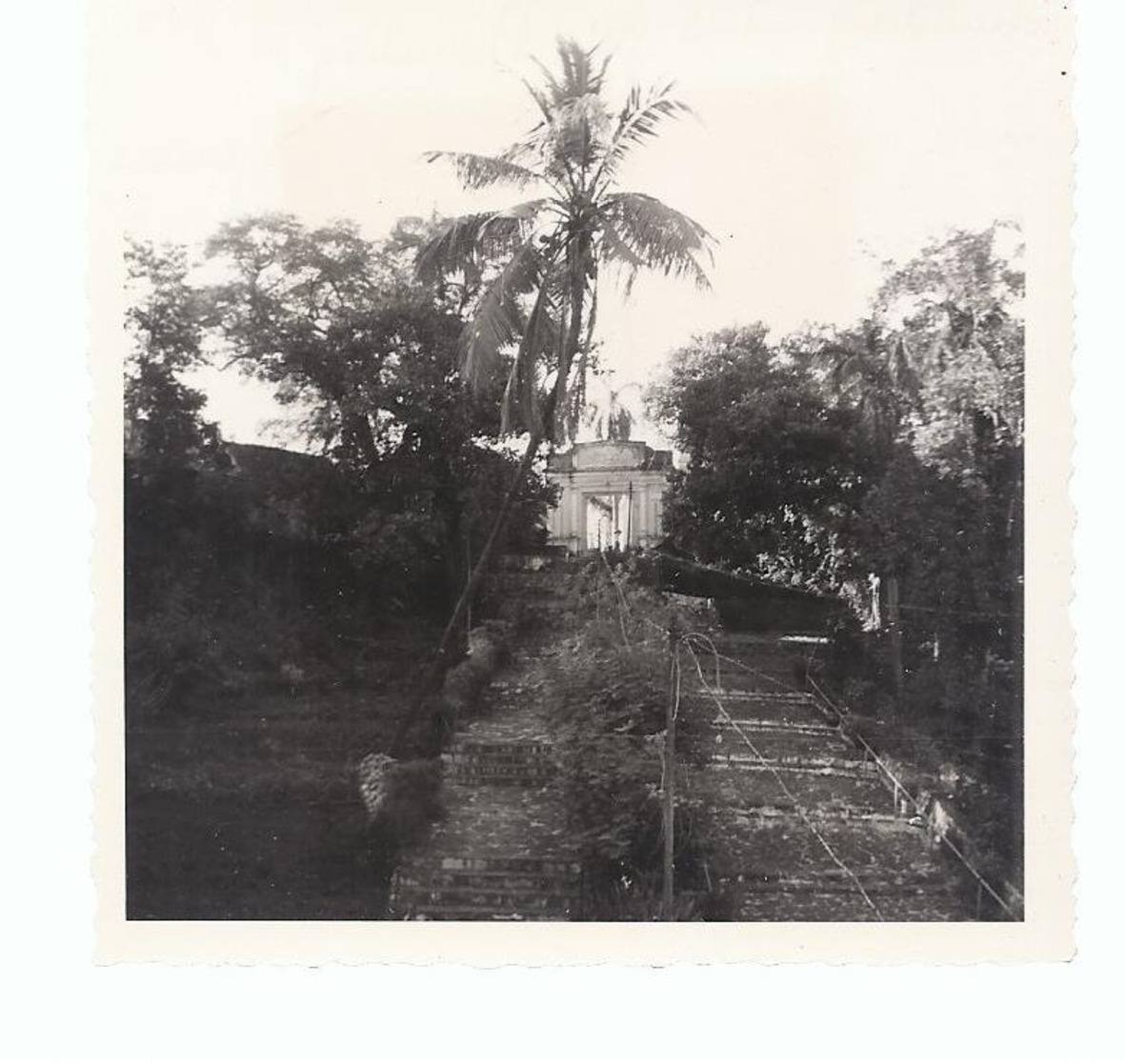 1964 Asia - India - Original Photo - BOMBAY ZICHT OP DE TOREN DER STILTE BOMBAY VIEW OF THE TOWER OF THE SILENCE - Plaatsen