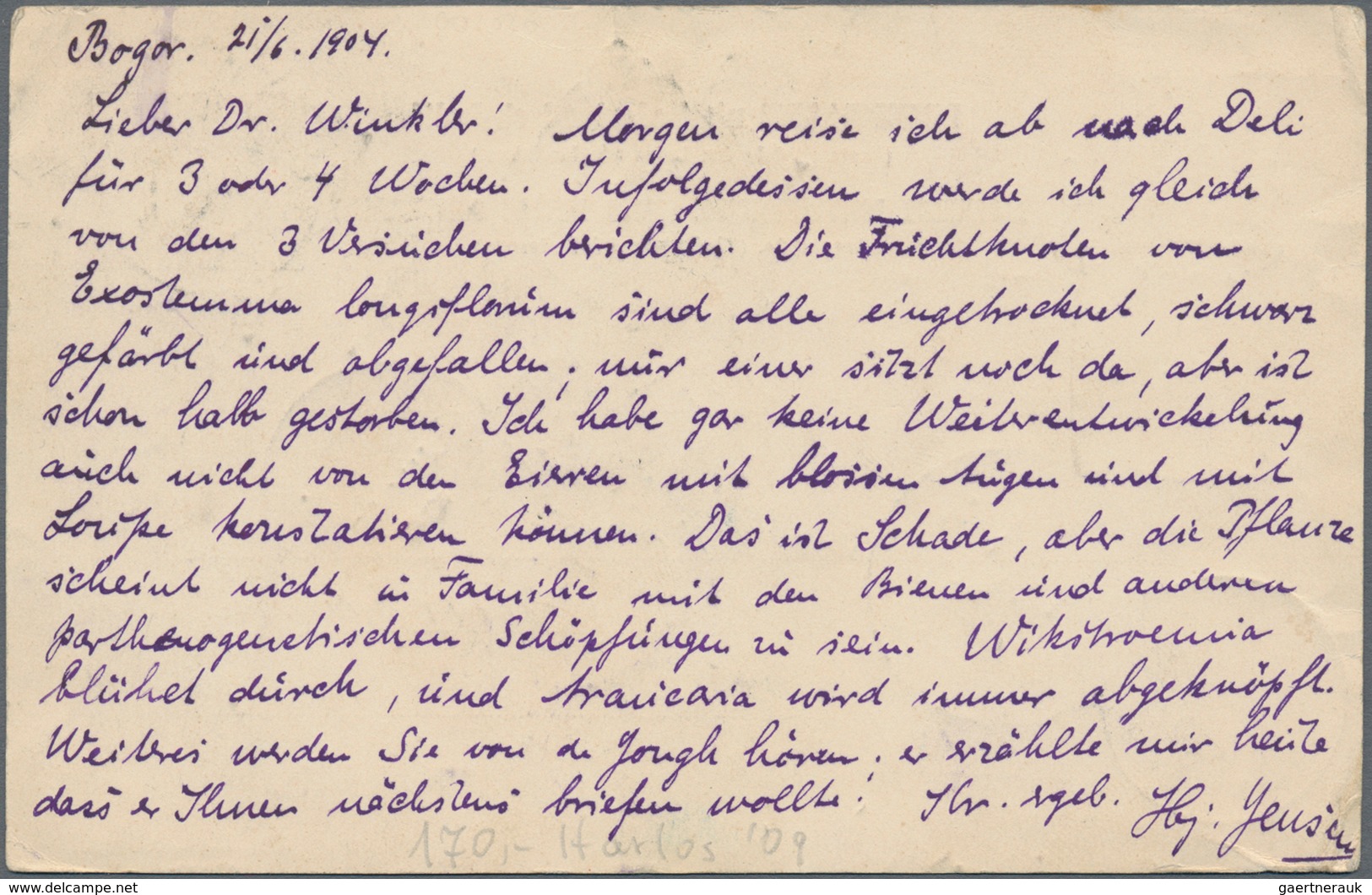 Deutsche Kolonien - Samoa - Besonderheiten: 1904 (22.6.), 7 1/2 Cent GA.-Kte. Niederl. Indien (Bedar - Samoa