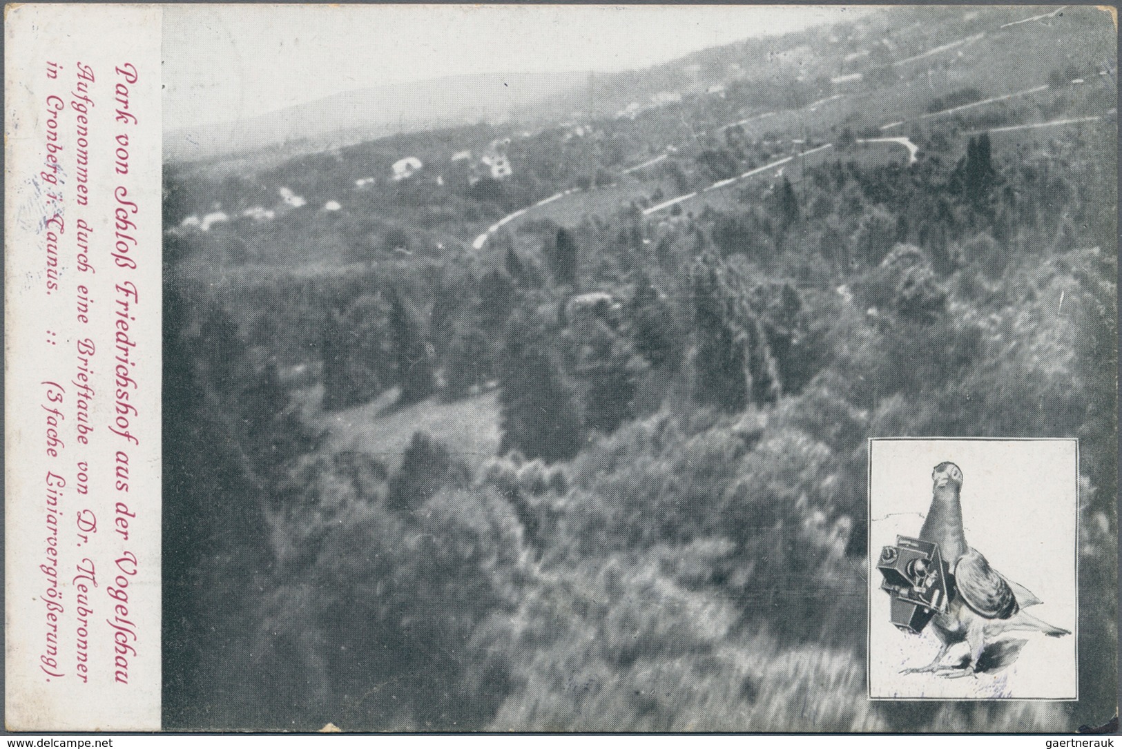 Ansichtskarten: Motive / Thematics: FOTOAPARAT, "Park Von Friedrichshof Aus Der Vogelschau, Aufgenom - Andere & Zonder Classificatie