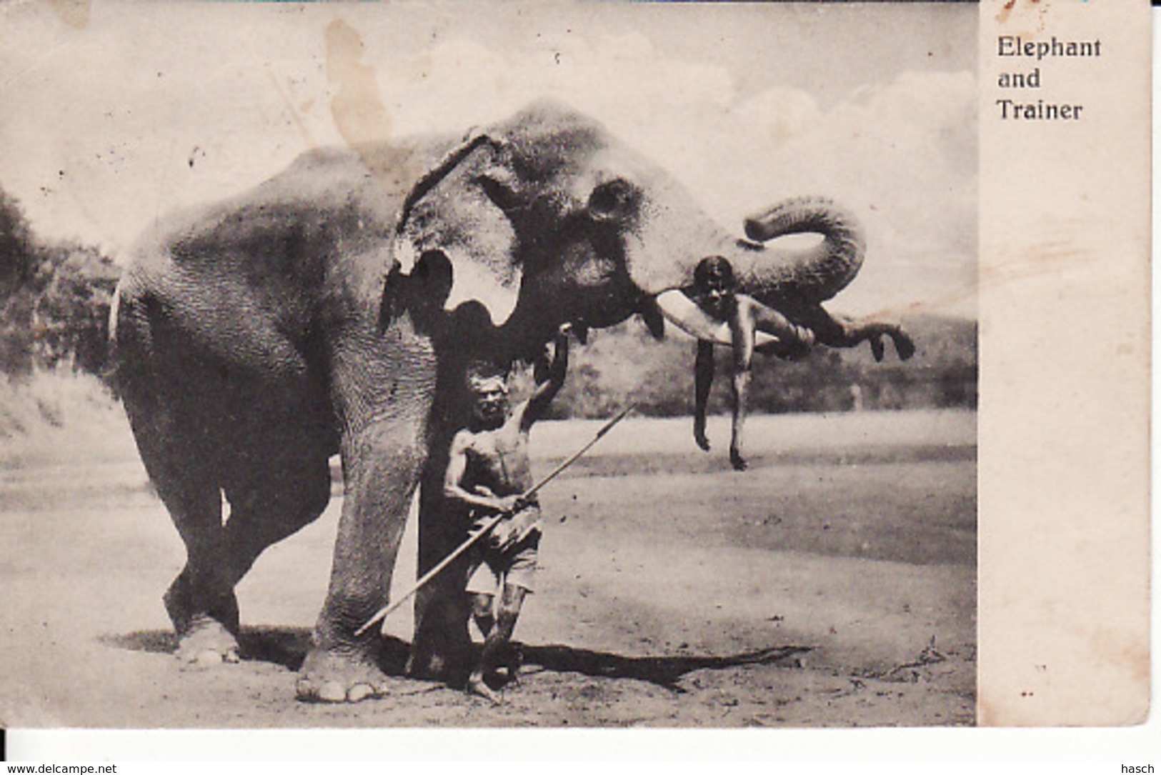 2809	48	Elephant And Trainer - India