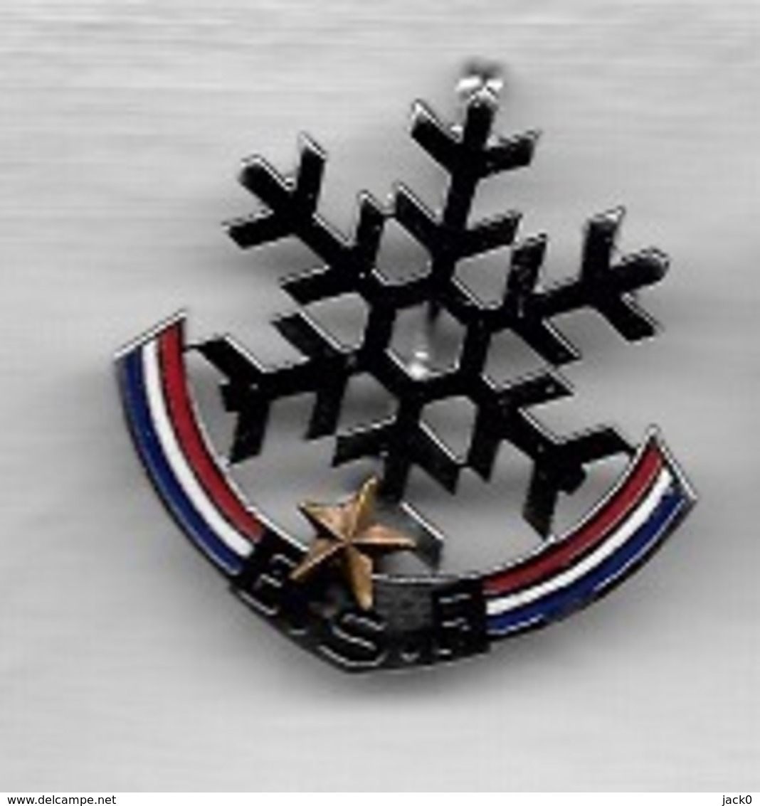 Pin's, Broche Tricolore, Ville, Sport  SKI,  E.S.F  1  étoile  Or  Verso  A . AUGIS  LYON - Sports D'hiver